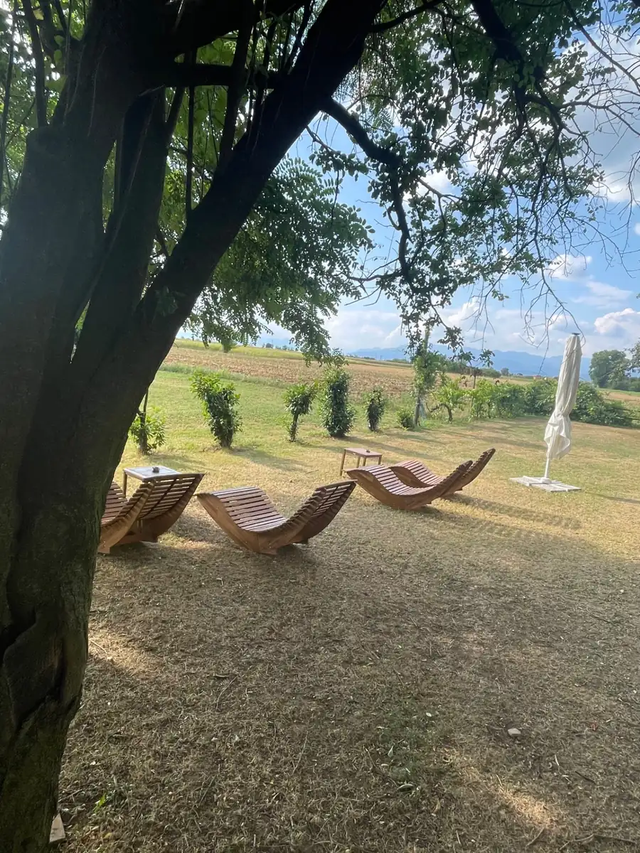 Sdraio in legno sotto gli alberi con vista sui campi